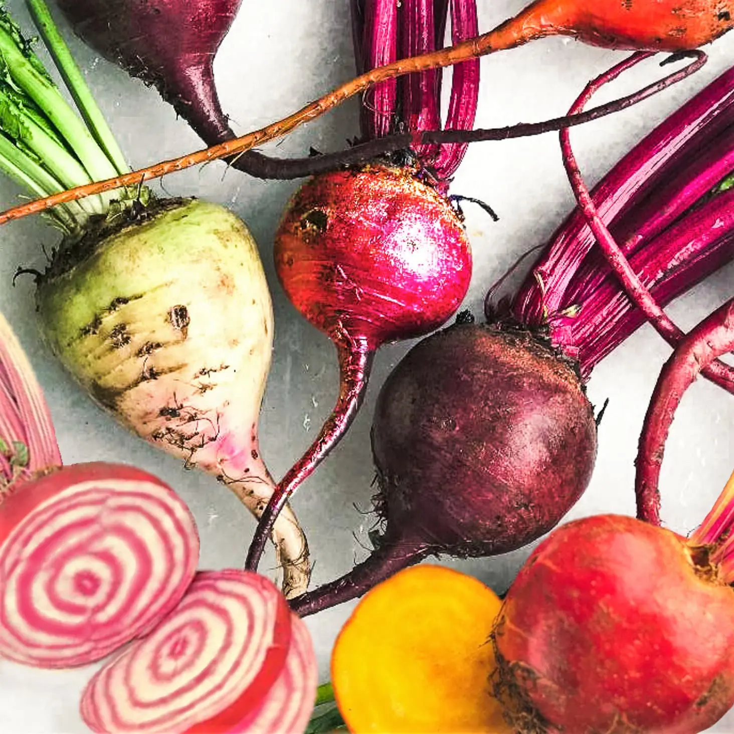 TomorrowSeeds - Rainbow Mix Beet Seeds -  5 Species Blend Mixed Colors Beets Turnip Beetroot Radish Garden Root Vegetable Seed For 2024 Season
