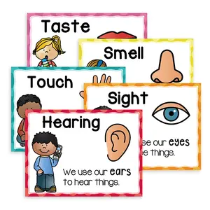 Five-Senses Cognitive Learning Cards, Early Education Sensory Awareness, Knowledge Enlightenment Essential, Fun Illustrations, Perfect Gift, Visual Stimulation Cards, Flashcards