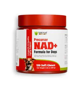 NAD+ Precursor for Dogs – 120 Beef Soft Chews – Advanced Longevity & Healthy Aging Support – with Nicotinamide Riboside, Quercetin, Resveratrol & Vitamin C – Vitality & Energy for Senior Dogs