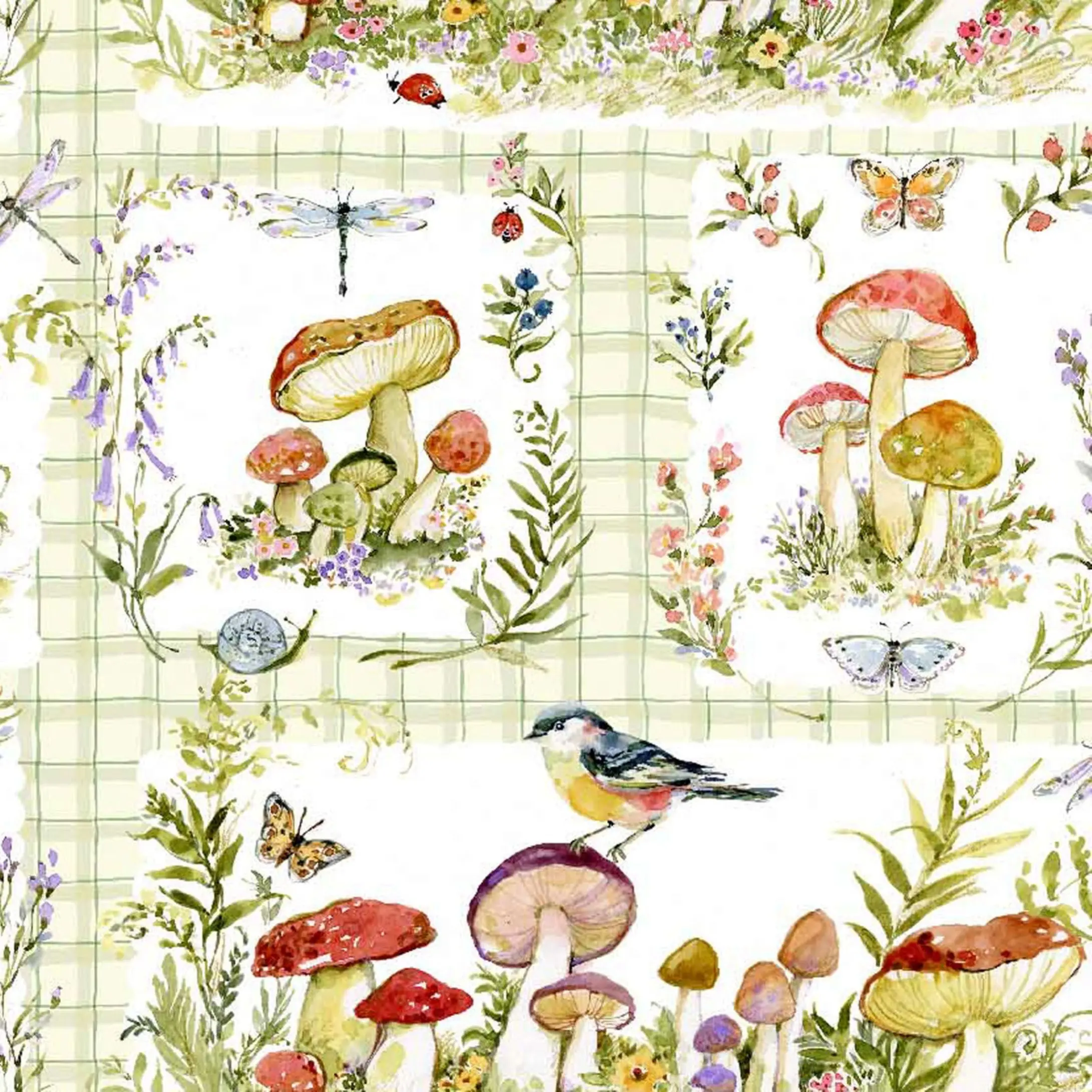 Intriguing Mushrooms | Mushroom Patch - Cotton