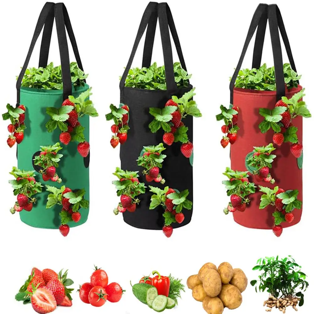 3-Gallon Plant Grow Bag, Non-woven Fabric Planting Bag with Handle, Garden Grow Bag for Strawberry & Vegetable & Flower, Garden Supplies