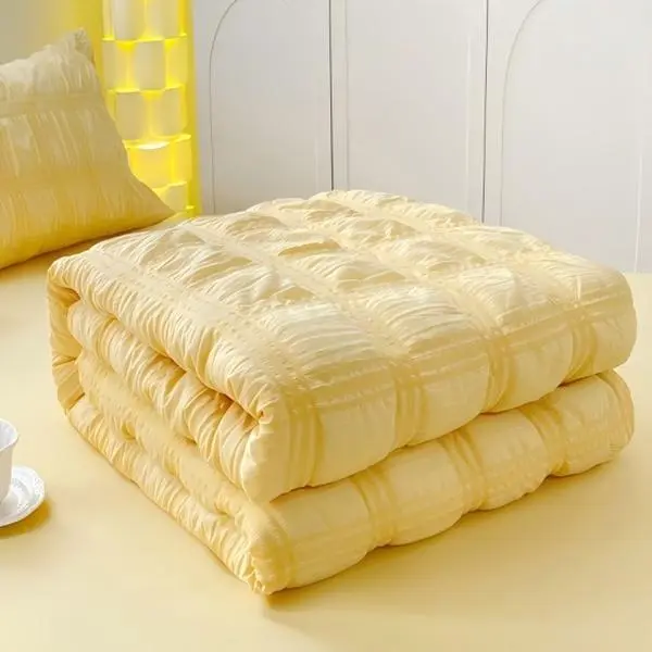 Bubble Jacquard Summer Quilt Lightweight Wrinkle Textured Comforter Soft Breathable Thin Bed Quilt Cozy Decorative Bedding For Bedroom All Season