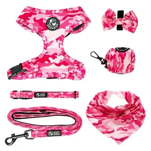 Dog Harness and Leash 5 Piece Set in Leopard Print for Pet Training and Walking