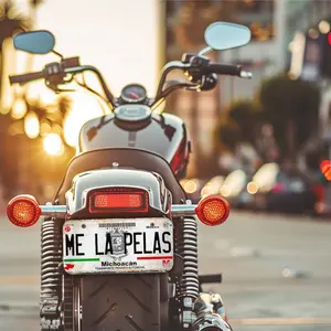 MLP Motorcycle Aluminum Metal Plaque - High-Quality