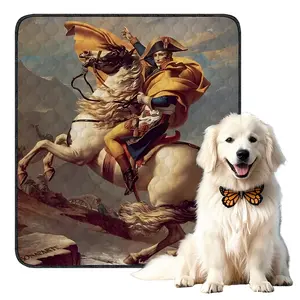 Reusable Washable Dog Training Pad, Non-Slip Oil Painting Style, Medium Size Pet Mat for Dogs & Cats, Unscented