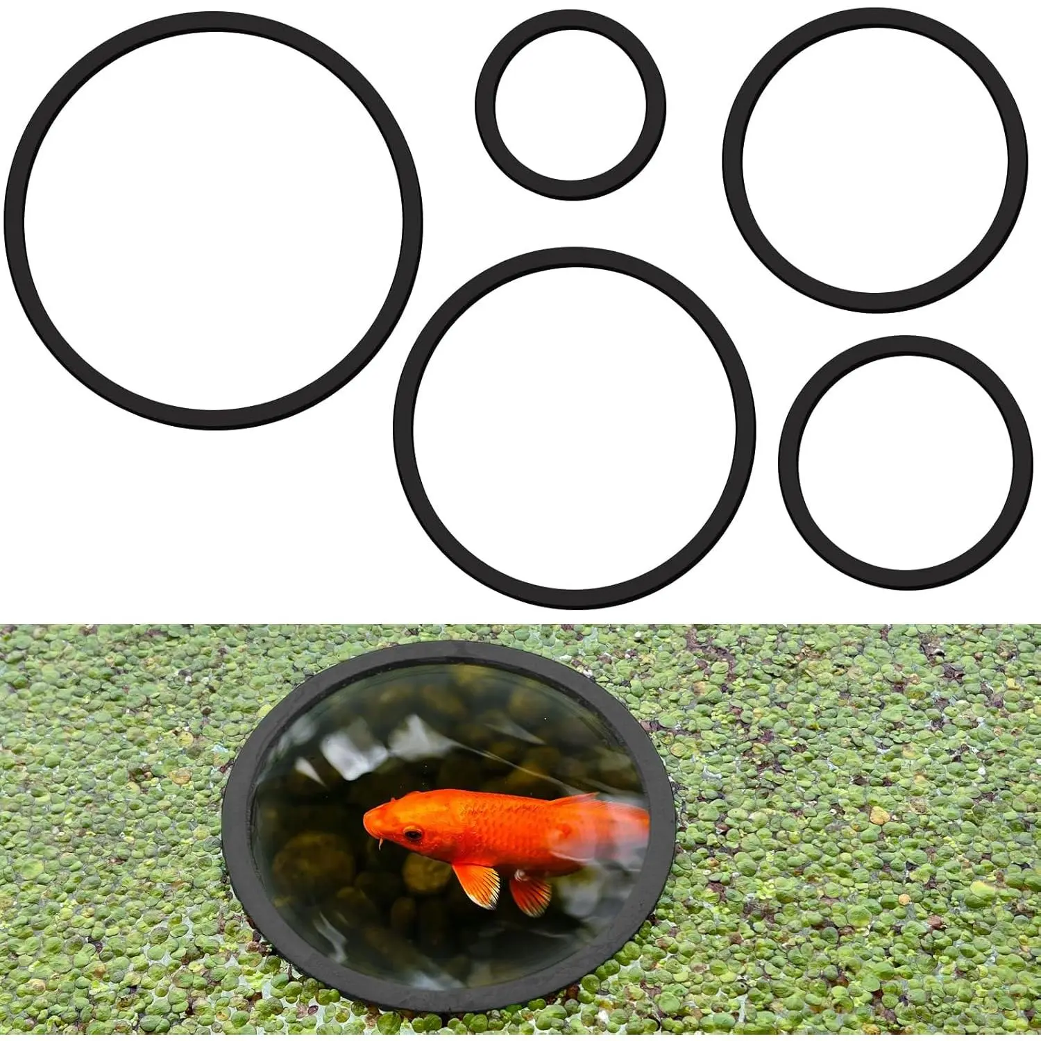 5 count Aquarium Floating  Corral - 5 Sizes of Floating  Ring, Fish Feeding Ring (Black)