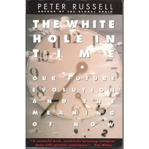 USED-The White Hole in Time: Our Future Evolution and the Meaning of Now by Peter Russell (Paperback)