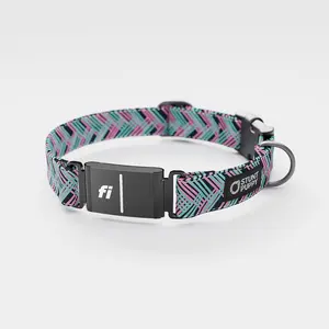 Fi GPS Included Fishtail Teal Everyday Collar (6 month subscription)