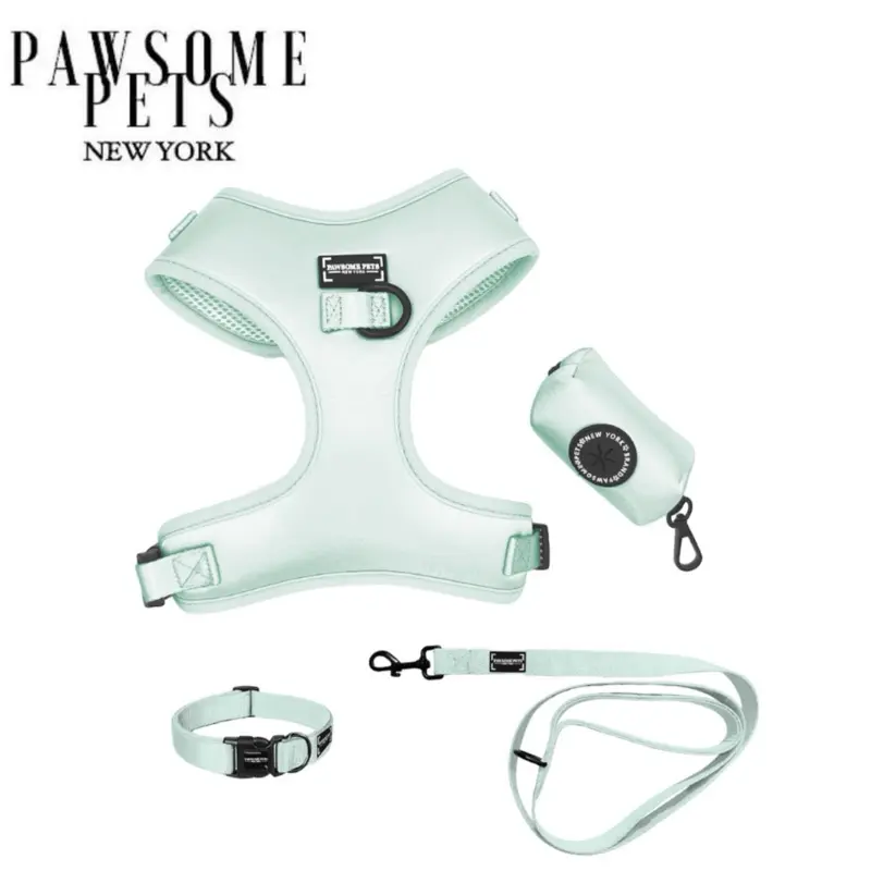 Pawsome Pets New York Bundle Collar - Small Size - Fully Adjustable Collar & Harness Set - Neoprene Material - Comfortable Walking for Dogs - Includes Leash & Waste Bag Holder