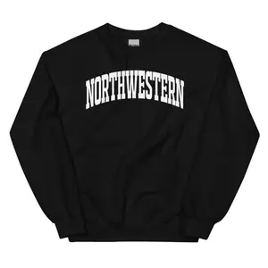 Northwestern University Sweatshirt, Princess Diana Sweatshirt, 90s Vintage College Unisex Sweatshirt