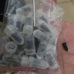 60PCS Tire Repair Rubber Nail, Vacuum Tire Repair Kits Spiral Rubber Nails, Tire Screw Plug Fast Tool Self Service Tire Repair Nail for car, Motorcycle, Truck, Tractor Tire Puncture Repair