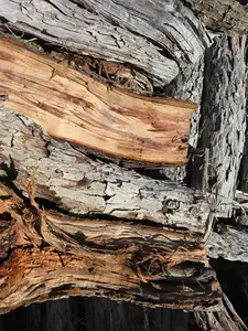 Pecan Cooking Wood By the Stick - Customizable Fire Size for Optimal Smoking Results - 18in x 16in x 8in Box - 6-8 Pieces - 25-30 lbs - Ideal for Controlled Fire Size