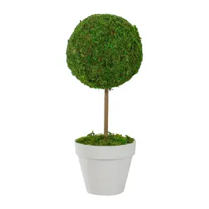 Northlight Reindeer Moss Potted Artificial Spring Topiary Tree