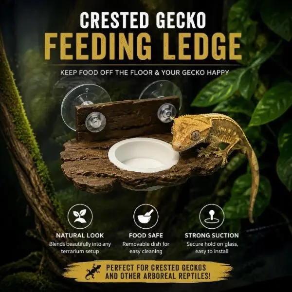 Natural Bark Look Crested Gecko Feeding Ledge - 1 Ledge with 3 Removable Dishes, Elevated Arboreal Reptile Holder, Strong Suction Cup Mount, Keeps Enclosure Floor Clean