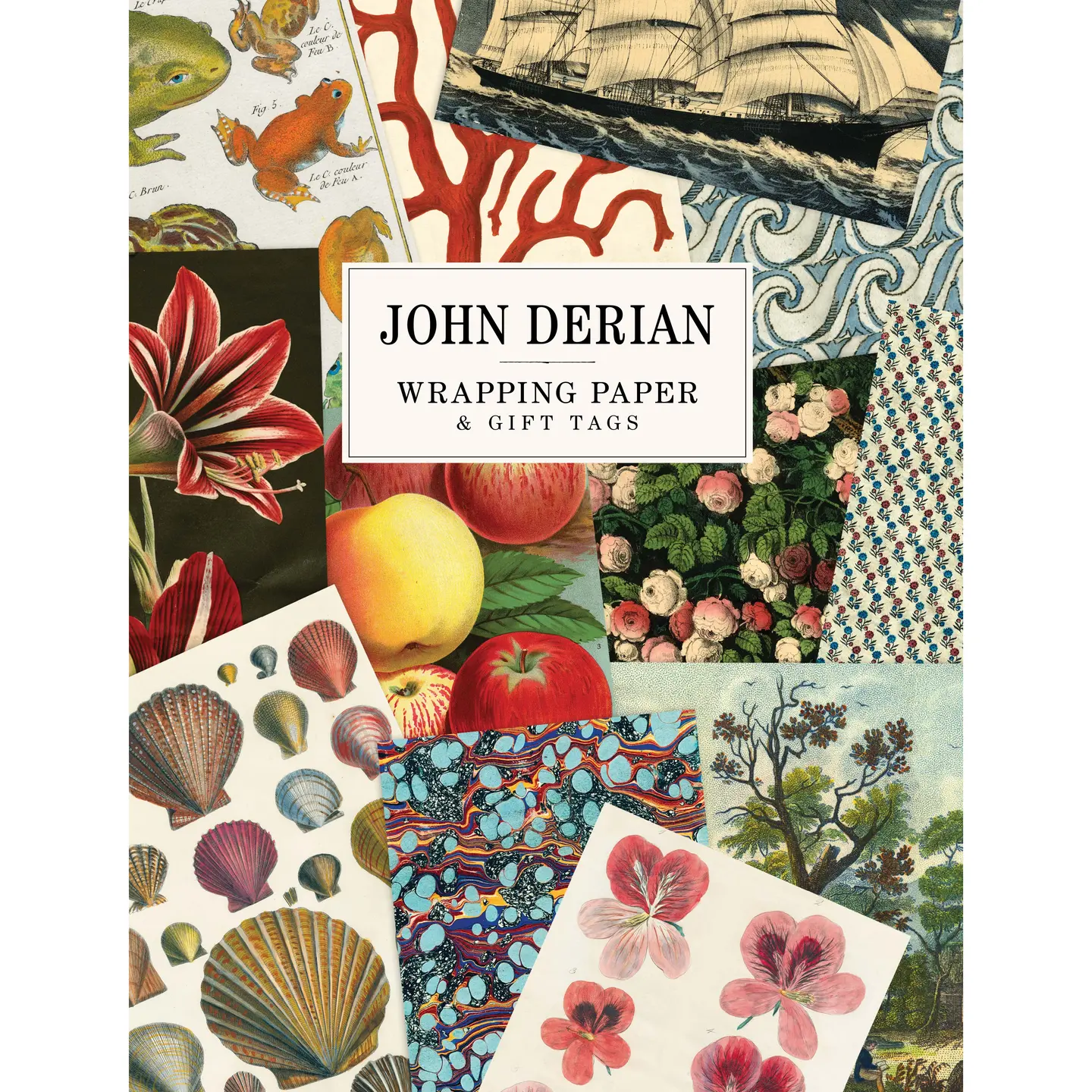 John Derian Paper Goods: Wrapping Paper & Gift Tags by John Derian John Derian Paper Goods: Wrapping Paper & Gift Tags by John Derian