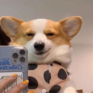 Jingya Home Furnishings