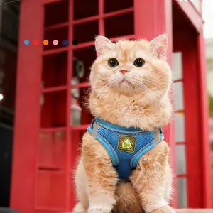 Step-in Dog Freedom Harness with Breathable Air Mesh - Reflective No-Pull Pet Harness for Small Medium Dogs and Cats - All-Weather Soft Vest with Secure Buckle & Double D-Rings