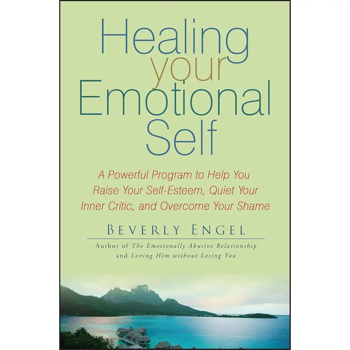 Healing Your Emotional Self: A Powerful Program to Help You Raise Your Self-Esteem, Quiet Your Inner Critic, and Overcome Your Shame Paperback – May 25, 2007