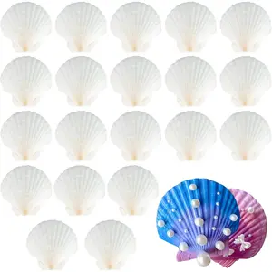 20Pcs/Set White Natural Scallop Shells,7-8cm Shells Suitable for DIY Jewelry & Beach Themed Wedding Decorations,Christmas Ornaments,Paintable,Beach Theme,Party Gifts,Hand Tools Kits