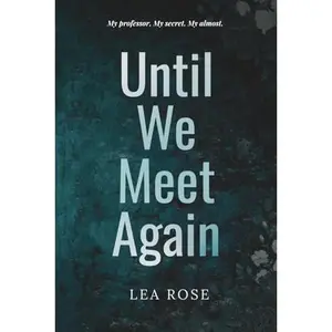 USED-Until We Meet Again (Breaking the rules) by Lea Rose (Paperback)