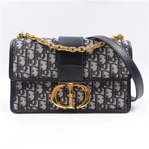 Pre-owned CHRISTIAN DIOR Canvas Shoulder Bags Montaigne Monogram Shoulder Bag T ZY0000363854