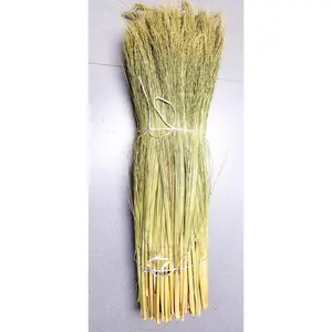 24"-36" Length Craft Broomcorn with Stems