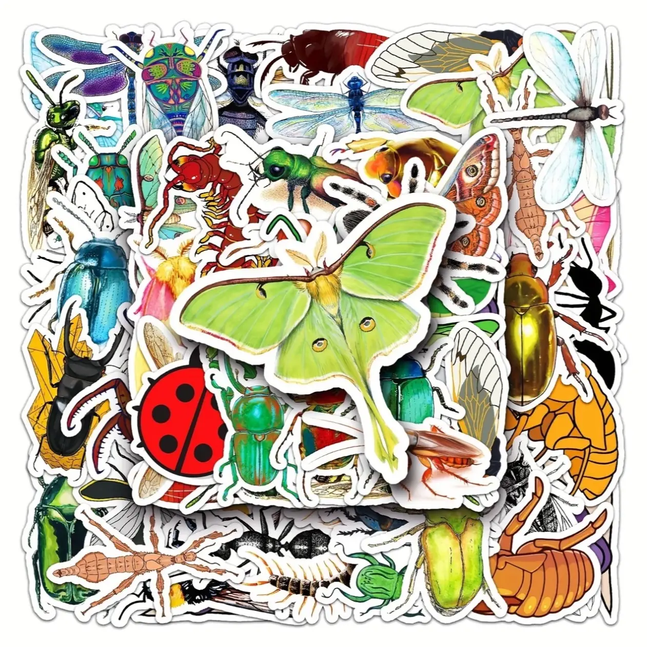 50 Pack of Insect and Bugs Themed Waterproof Stickers
