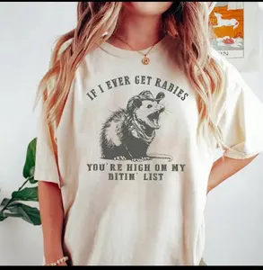 Comfort Colors If I Ever Get Rabies Shirt, You're High On My Bitin' List TShirt, Raccoon Shirt, Trendy Tee, Gift For Friends, Everyday Basic