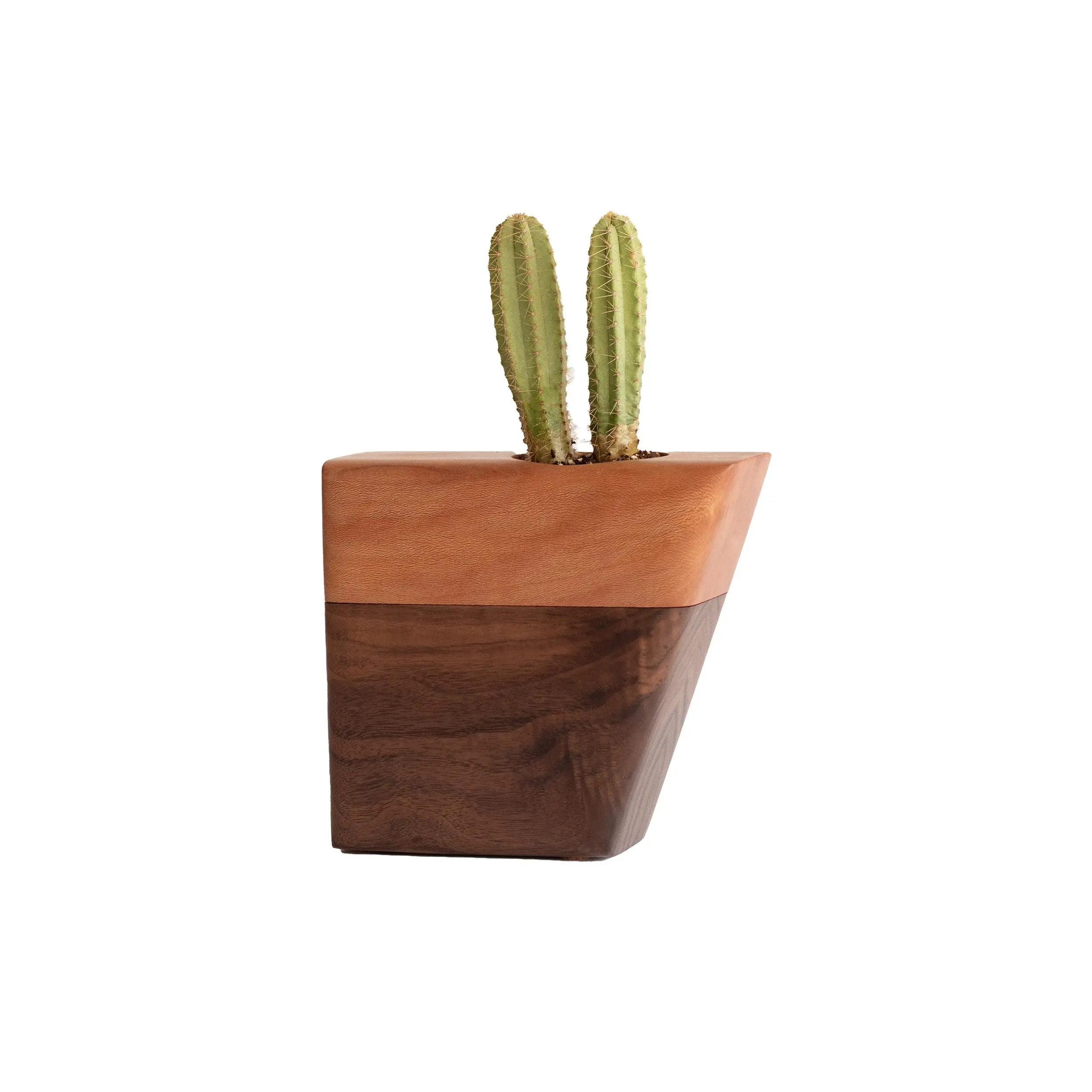 Small Planturn™ Cremation Urn in Walnut & Sycamore