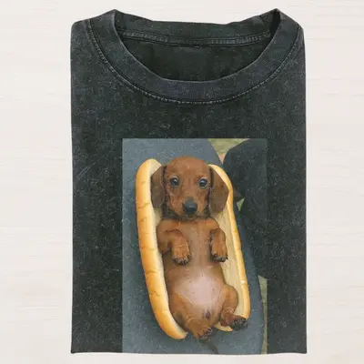 Wiener Dog with Hot Dog TikTok Shop