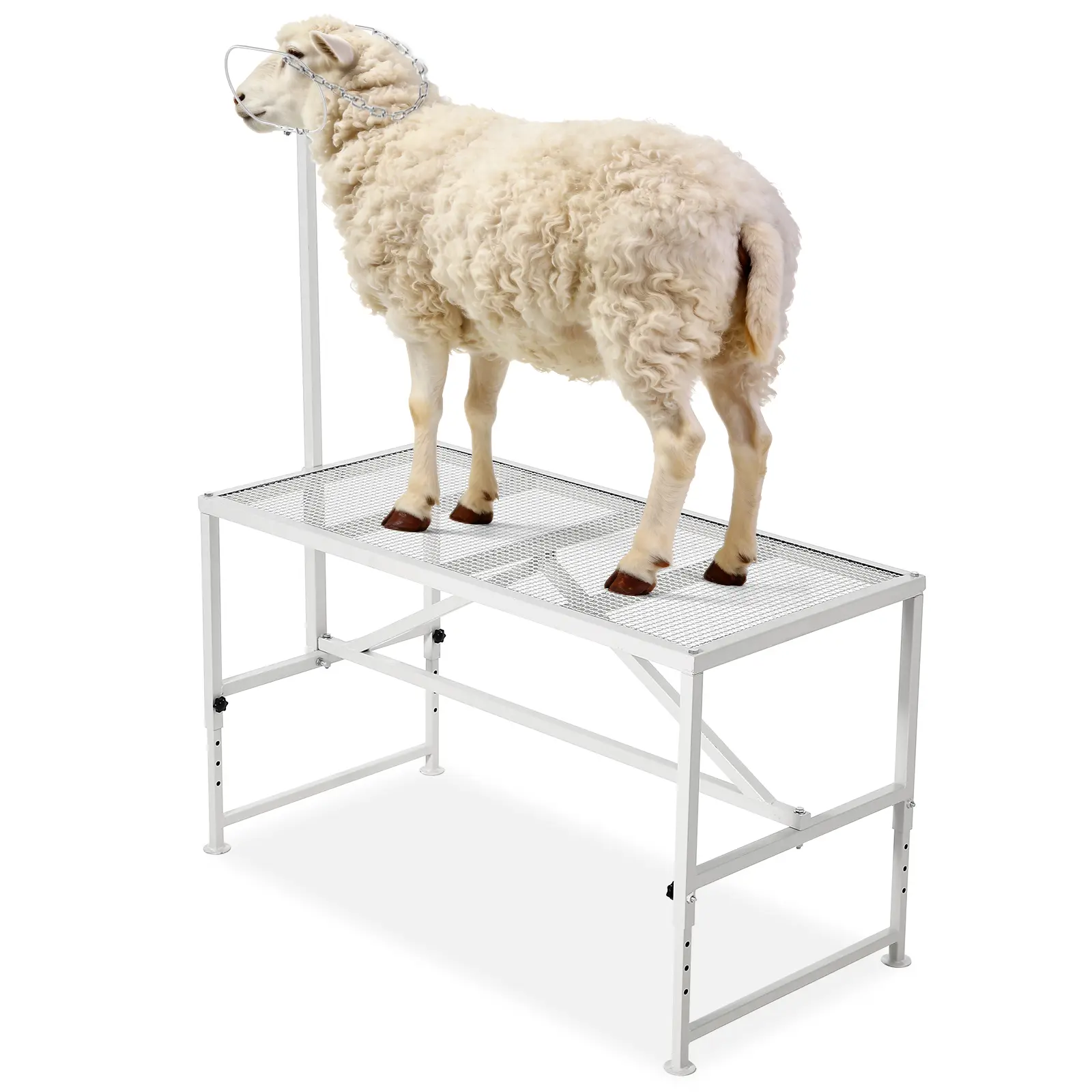 Garvee Heavy Duty Goat Milking & Trimming Stand 47x23" – Adjustable Livestock Platform – Headpiece & Nose Loop – 500lb Capacity – Ideal for Milking & Shearing