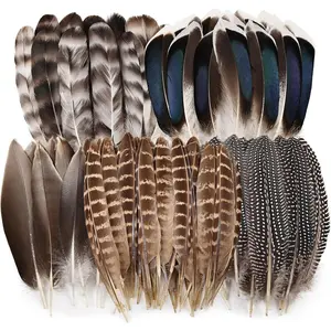 40 count  Pheasant Feathers Bulk Spotted Feathers 5 Styles  Feathers for Crafts DIY Hat Floral Arrangements Wedding  Decorations