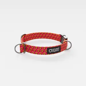 Cubular Orange Everyday Collar