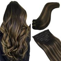 #1b/6/1b Balayage Natural Black to Chestnut Brown