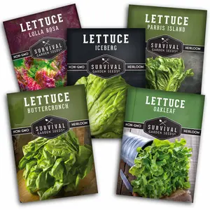 5 Lettuce Collection - Buttercrunch, Oakleaf, Lolla Rosa, Parris Island, Iceberg