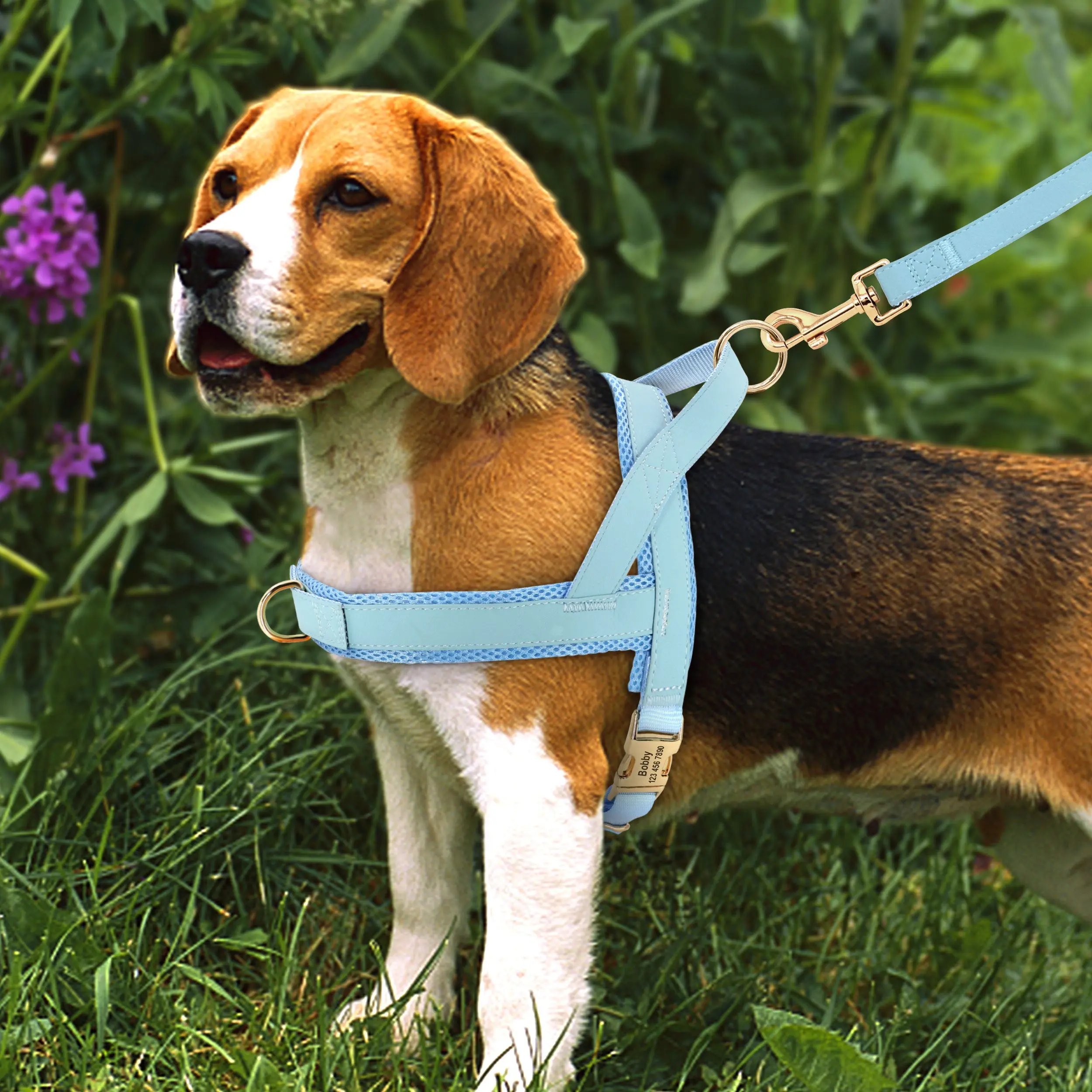 Personalized Dog Harness Leash Set - Customizable Design, Comfortable Fit, Suitable for Various Activities, Perfect for Dogs