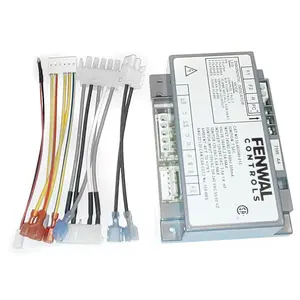 Pentair Pool Products 476223 Pentair Ignition Control Module with Flame Sensor Domestic