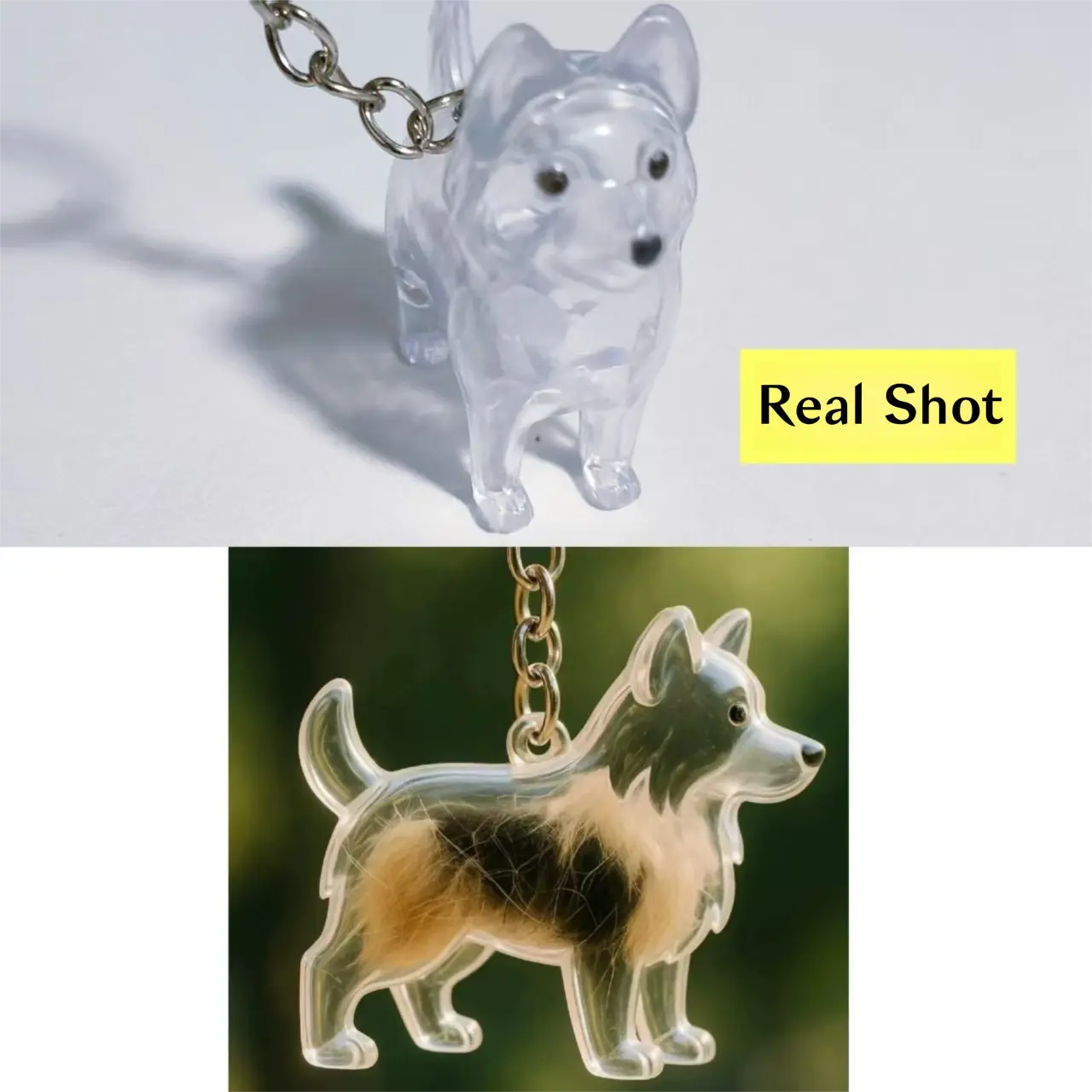 Standing Border Collie [comes with keychain]