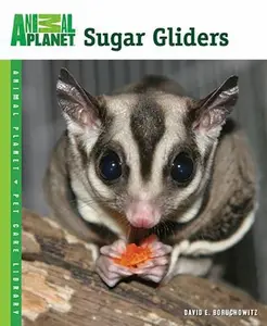 USED-Sugar Gliders by Boruchowitz, David E. (Paperback)
