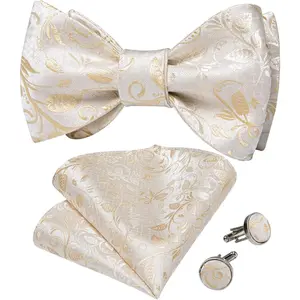 DiBanGu Men Bow Tie Paisley Striped Self-Bow Tie for Men and Silk Woven Bowtie Pocket Square Cufflinks Wedding Party