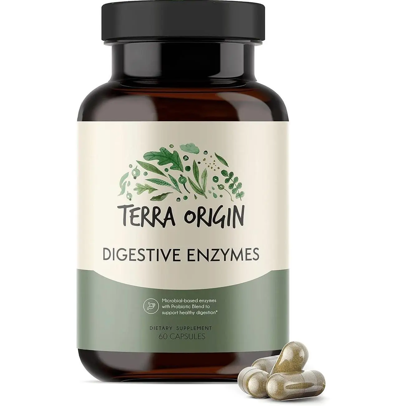 TERRA ORIGIN Digestive Enzymes with Probiotics & Prebiotics | 60 Capsules | Supports Digestive Gut Health | Non GMO, Gluten Free, Vegan | for Women and Men