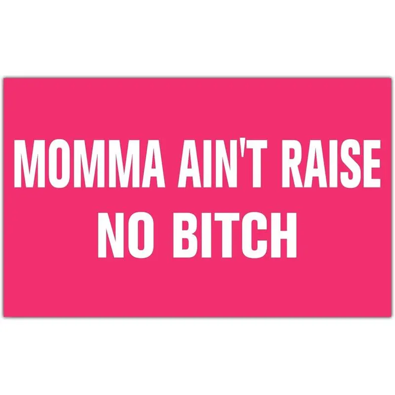 Momma A't Raise No Bitch Flag Pk Tapestry - Funny Flags for Room, Teen Girls, Bedroom, College Dorm, Meme Flags, Wall Art Decorations