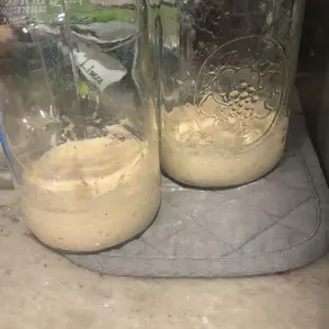 Dehydrated Sourdough Starter or Live Active Starter (wet)- Air Dried, For making bread, Natural Yeast, Sourdough, Dry, Starter, discard recipes, Food, Starter, Unbleached Flour, Rye Starter, Baking, Bake, Jar, starter kit sold separately