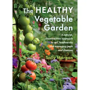 USED-The Healthy Vegetable Garden: A Natural, Chemical-Free Approach to Soil, Biodiversity and Managing Pests and Diseases by Morgan, Sally (Paperback)