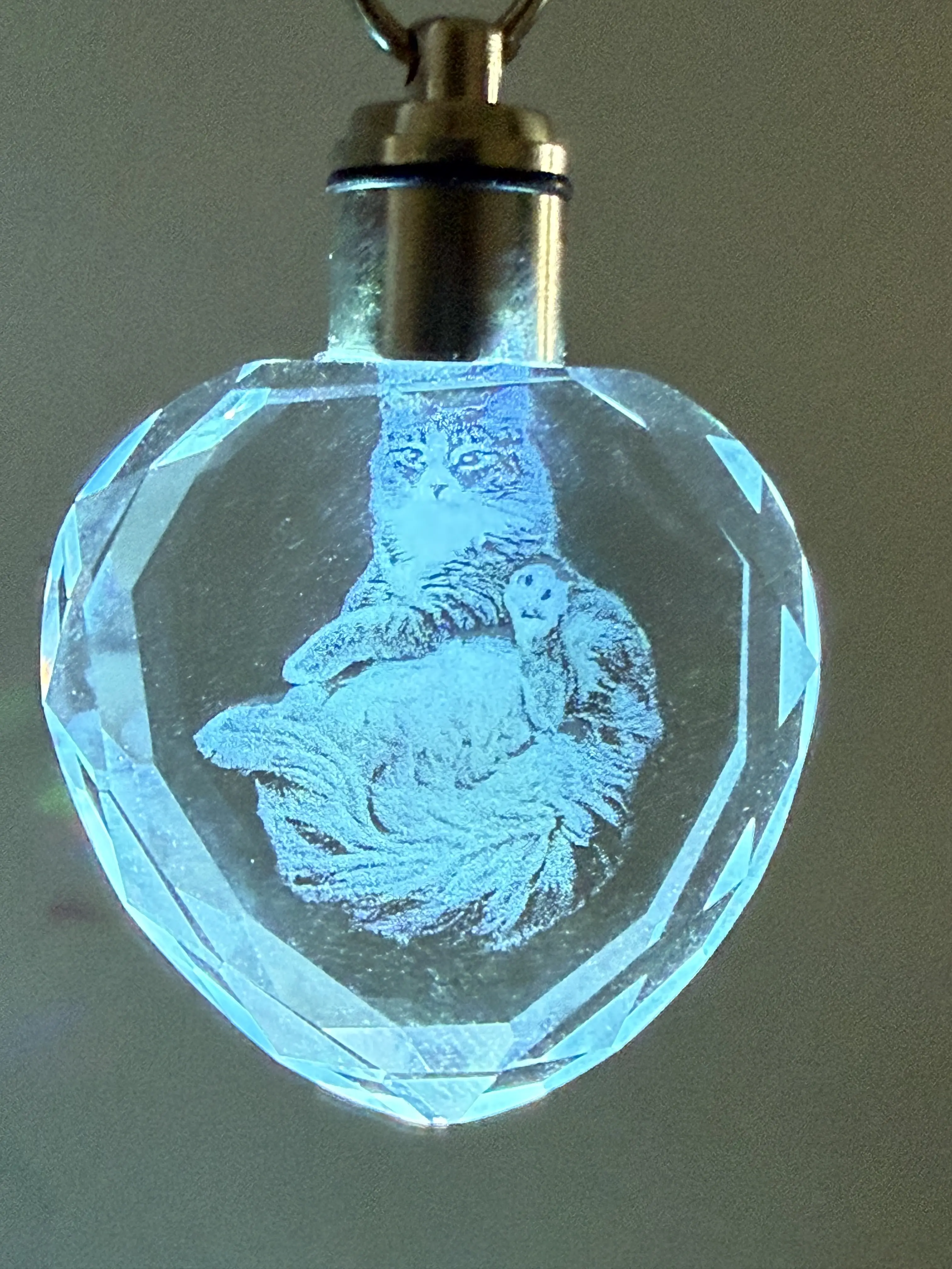 Custom 3D Photo Crystal LED Keychain | Personalized Engraved Pet Memorial & Anniversary Gift