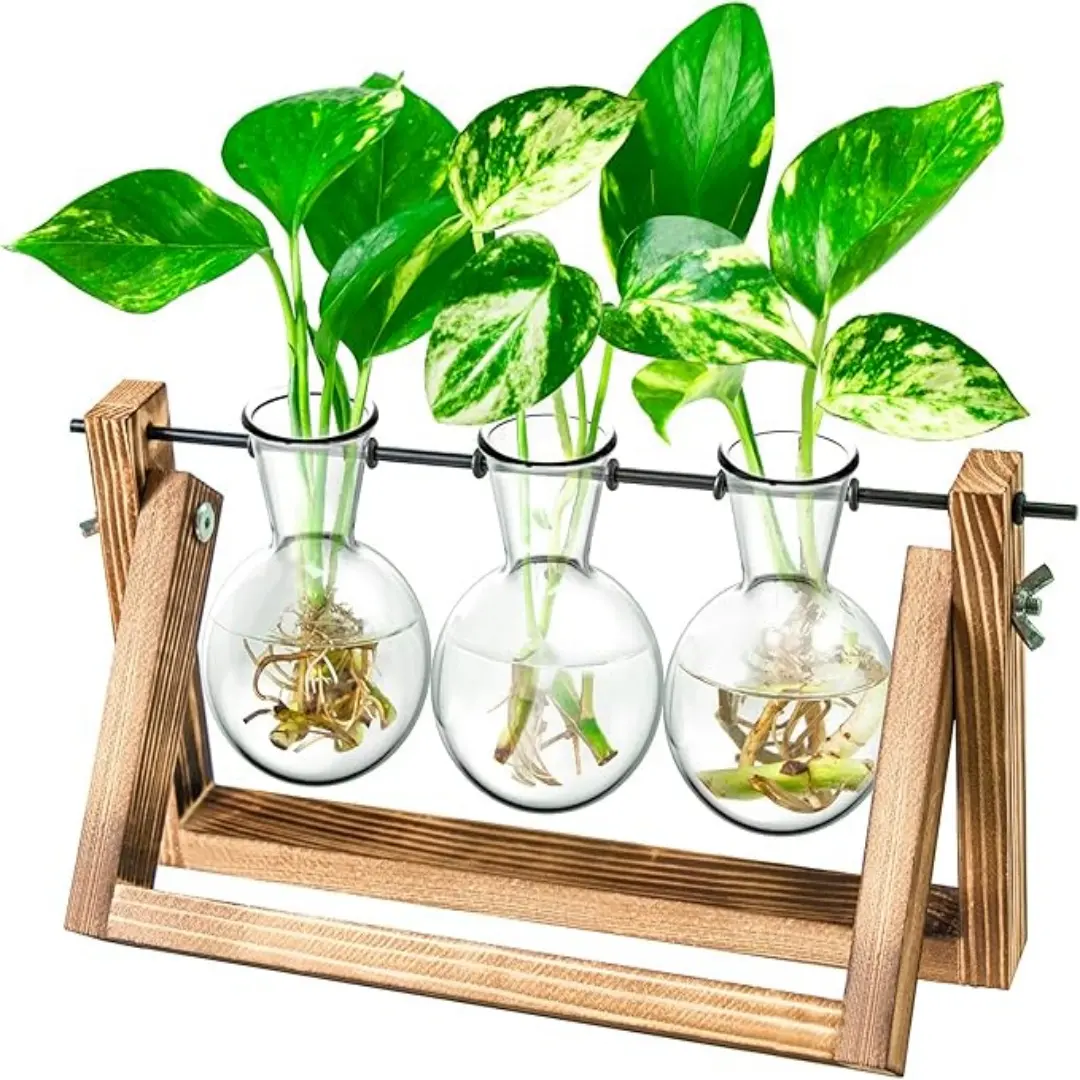 Plant Terrarium with Wooden Stand, Air Planter Bulb Glass Vase Metal Swivel Holder Retro Tabletop for Hydroponics Home Garden Office Decoration - 3 Bulb Vase