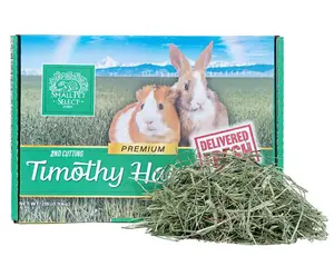 Vet Program - 2lb Box of Hay