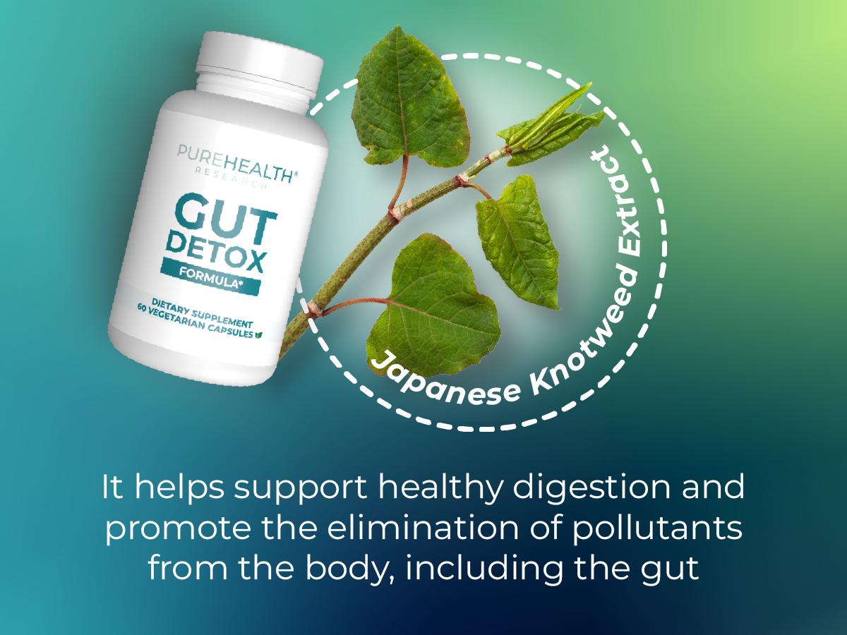 Gut Detox Formula Digestion Supplement by PUREHEALTH RESEARCH - Comprehensive Gut Cleanse with Zeolite Detox & Zeolite Clinoptilolite - Cleanse Harmful Chemicals for Optimal Wellness - 60 Capsules Healthcare Dietary Gut Detox Formula Digestion Supplement by PUREHEALTH RESEARCH - Comprehensive Gut Cleanse with Zeolite Detox & Zeolite Clinoptilolite - Cleanse Harmful Chemicals for Optimal Wellness - 60 Capsules Healthcare Dietary