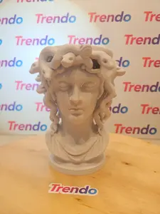 Medusa Sculpt Planter – 9x7