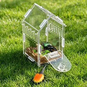 Panoramic High-Transparency Ready-to-Ship Acrylic Reptile Terrarium | Reptile Habitat and Display Enclosure | Acrylic Material | Breathable, Escape-Proof with Magnetic Snap Closure, Easy to Clean and Stackable, Full-View Observation